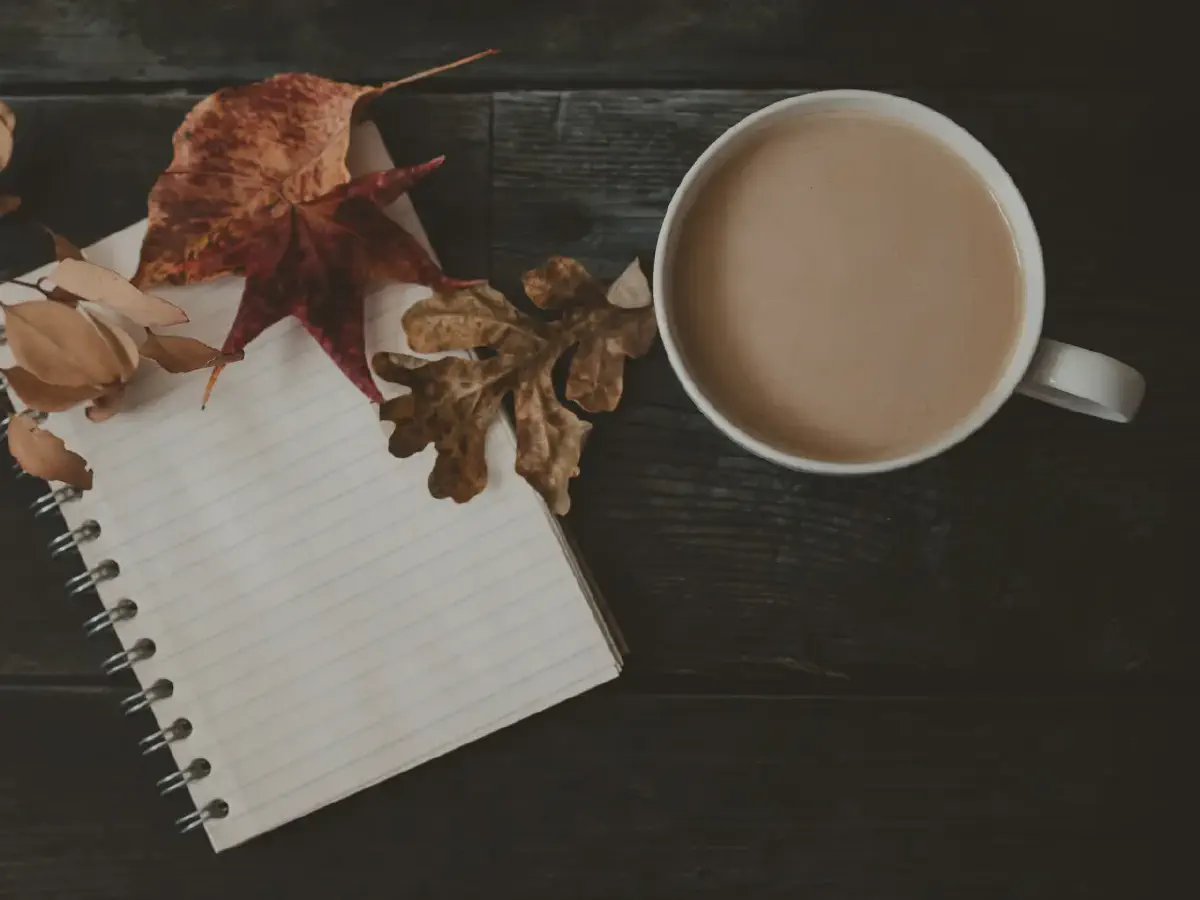 Manuscritos y la austeridad mental