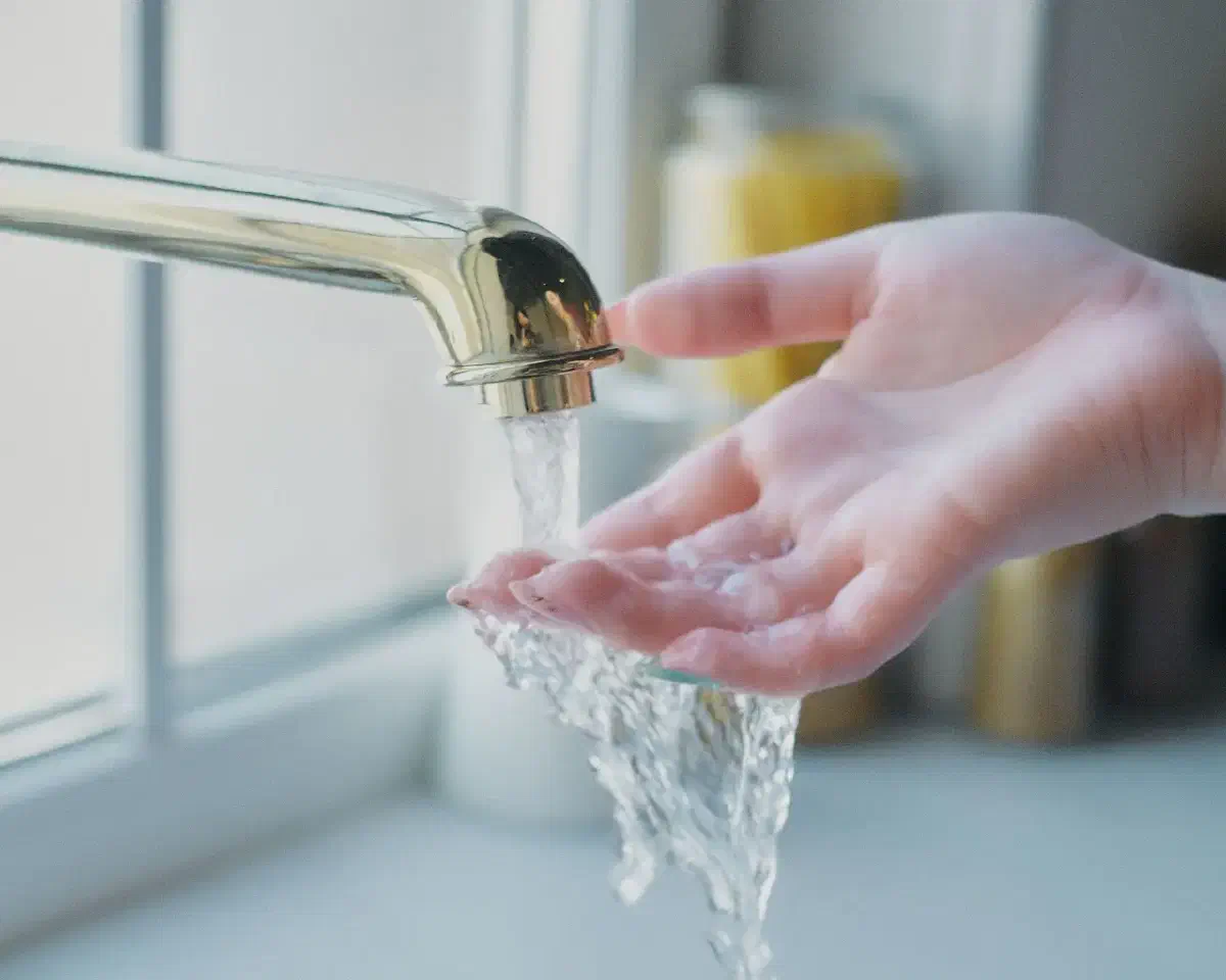 Must be the water