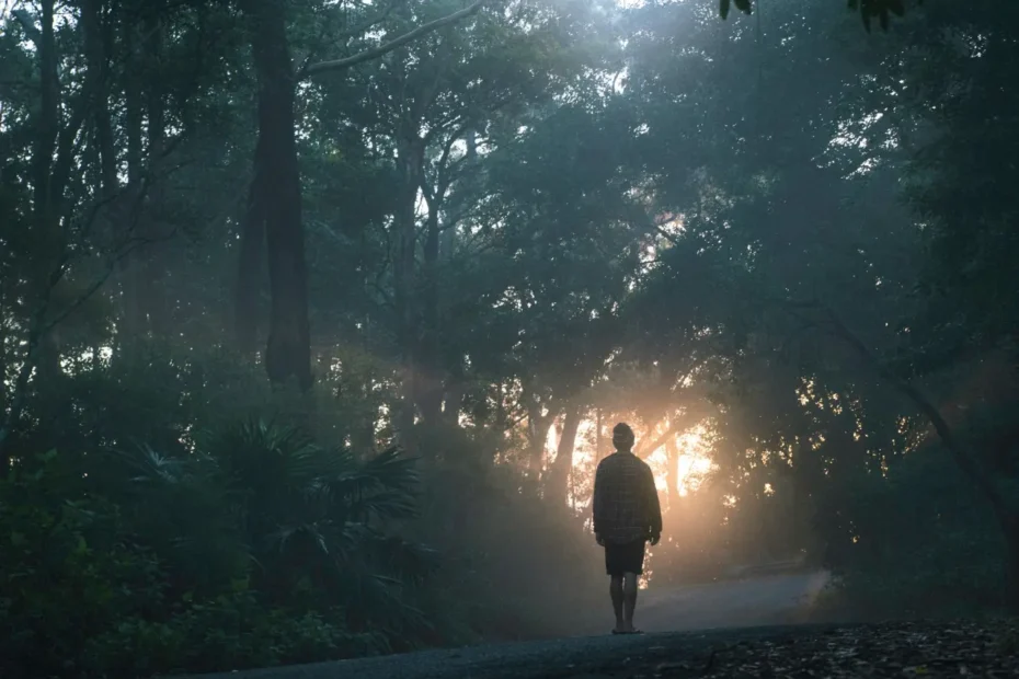 Hombre caminando por un sendero en un bosque oscuro